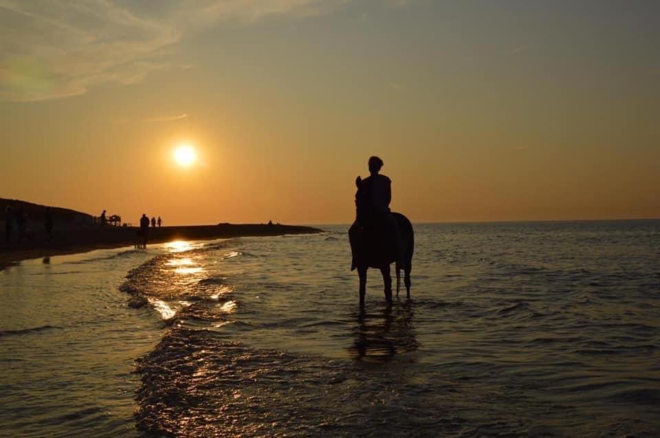 Lise'S Place Vrouwenpolder Ngoại thất bức ảnh